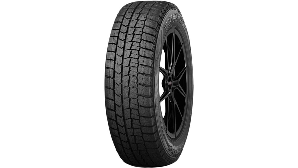dunlop winter tire 205 60r16
